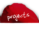 projects